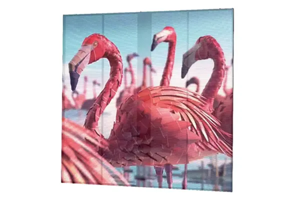 HD Full Color Display
