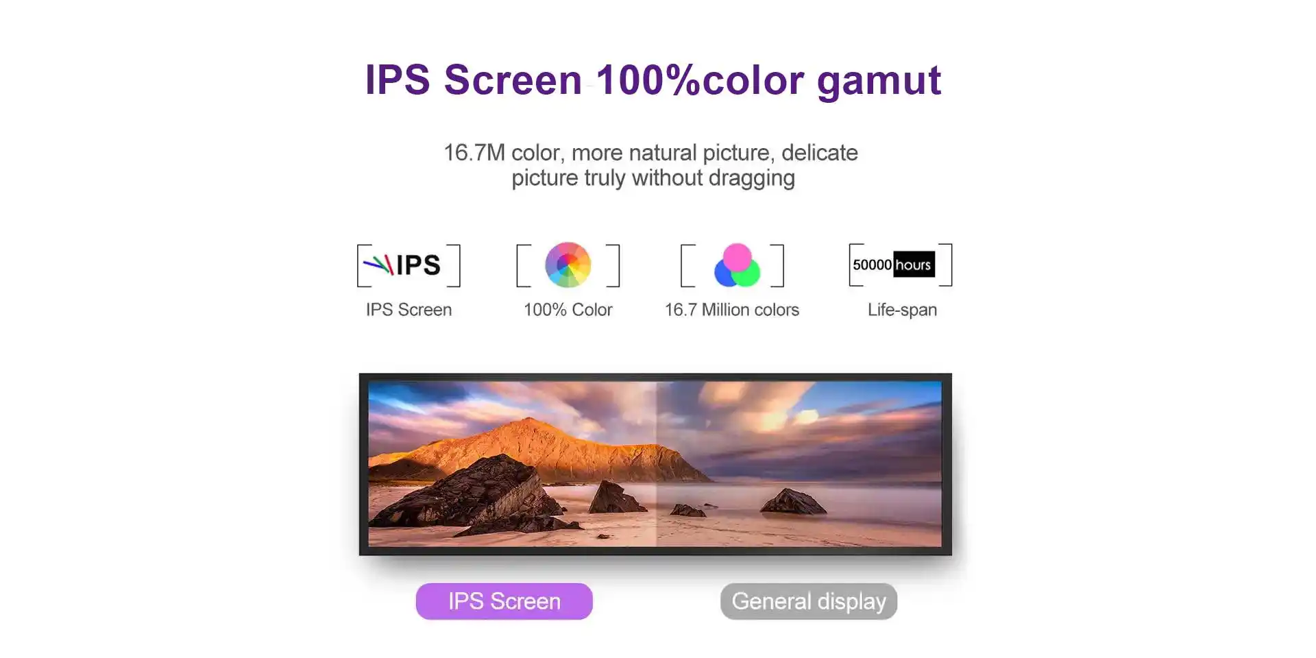 IPS Screen with 100% Color Gamut: Stunning Visuals
