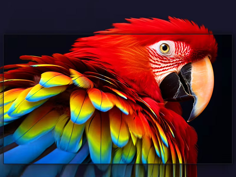 Indoor Small Pitch LED Screen Show The Beauty of Color and Vivid Details