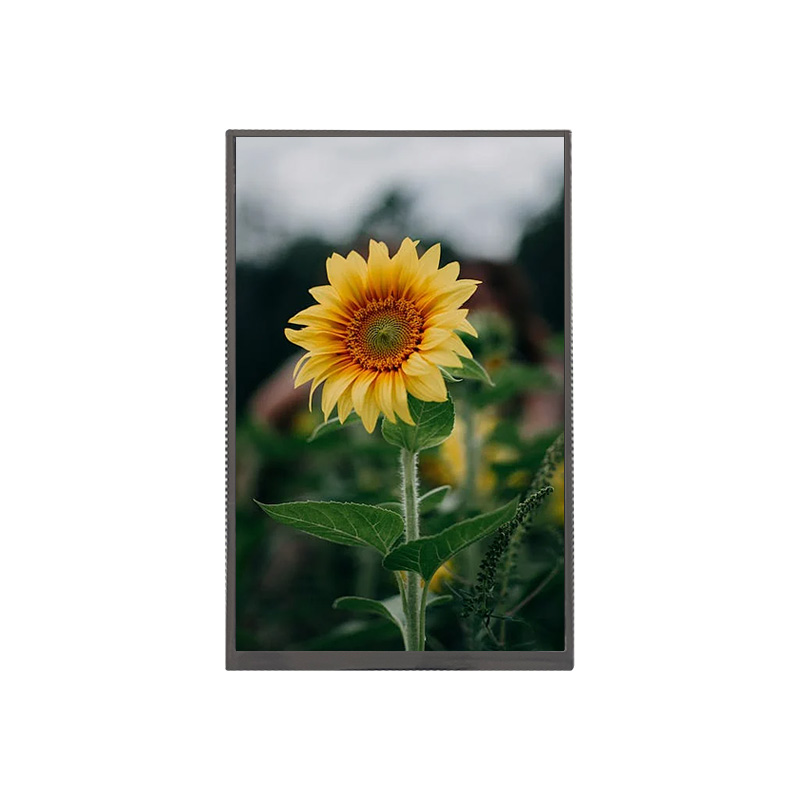 8″ TFT LCD Display, 800×1280, MIPI
