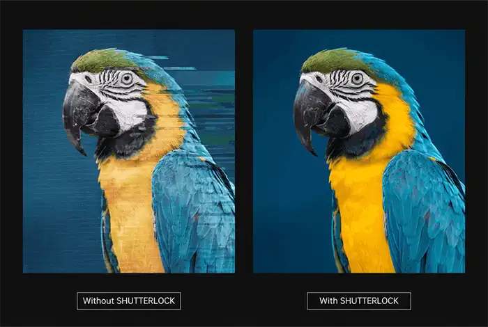 SHUTTERLOCK