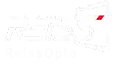 REISSOPTO Logo
