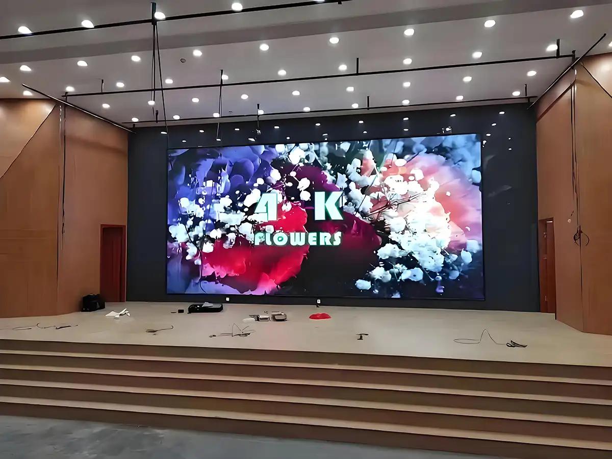 Visual Demands and the Role of LED Screens