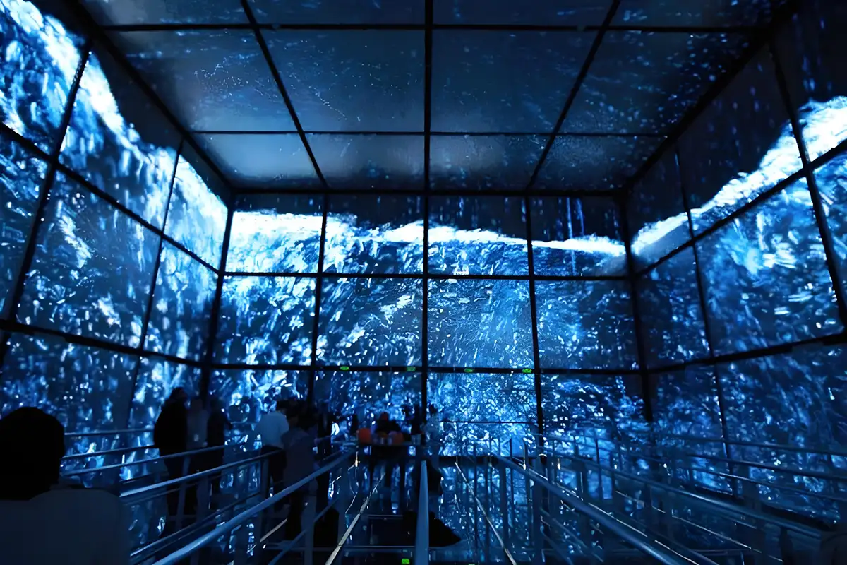 Immersive LED Experience